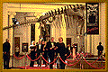 r_1171.jpg